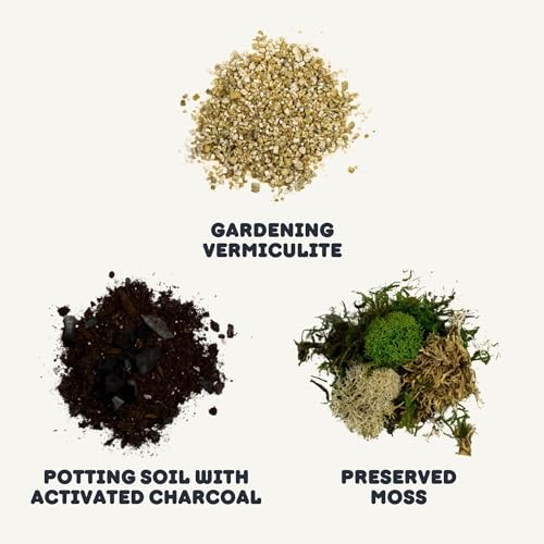 Terrarium Starter Kit | Moss, Vermiculite, Soil, Pebbles, Plant Food, Finishing Tools, Build and Care Guide | DIY Succulent Terrarium (Small) - size: Small Kit