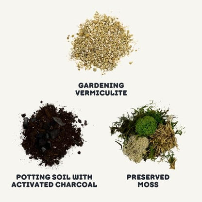Terrarium Starter Kit | Moss, Vermiculite, Soil, Pebbles, Plant Food, Finishing Tools, Build and Care Guide | DIY Succulent Terrarium (Small) - size: Small Kit