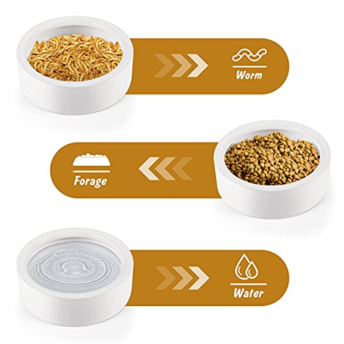 Reptile Food Dish Bowl 2Pcs Lizard Gecko Worm Water Bowls Small (2.75in) | Anti-escape Ceramic Mealworms Bowls for Leopard Bearded Dragon Chameleon Hermit Crab Dubia Cricket Feeding, Superworm Feeder