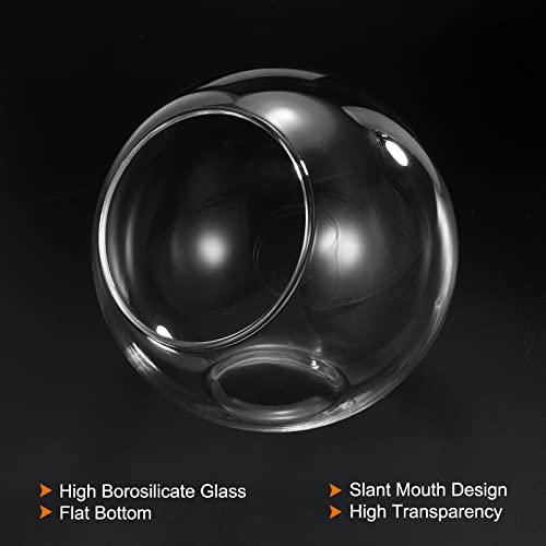 PATIKIL Round Globe Terrarium Air Plant Planter, 4 Inch High Borosilicate Glass Table Decorations for Succulent, Tillandsia, Clear - size: 4 Inch
