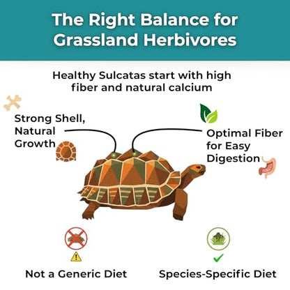 Sulcata Tortoise Calcium & Multivitamin Powder - Herpetologist Formulated Vitamin and Mineral Powder for Reptiles with High Fiber - 30 Day Supply in Shaker Bottle for Tortoise Lovers!