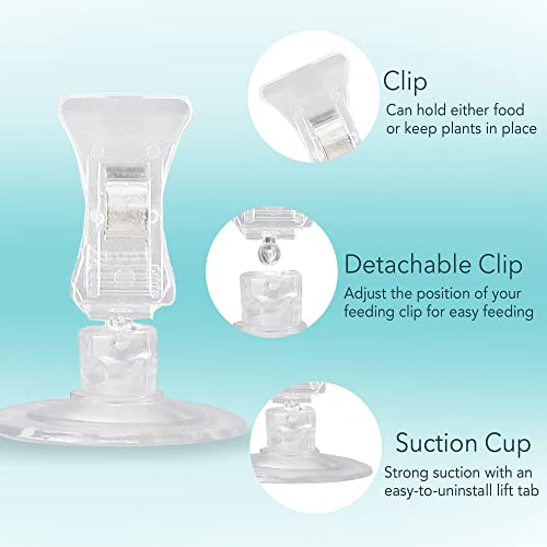 JOR 4 Pack Fishes Veggie Kelp Plant Suction Cup Clips for Aquariums, 2” x 1”, Feeding Tool, Aquarium Accessory for Fish Tank, Round Feed Holder Clamp, Automatic Fish Feeder, Includes Plastic Spring