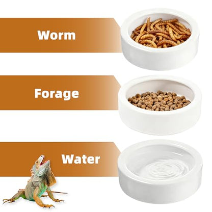 Escape-Proof Reptile Food Dish Bowl, Ceramic Reptile Feeding Dish & Small Animal Bowl for Lizard, Leopard Gecko, Hermit Crab, Hamster, Anti Escape Live Food & Water Dish (3x1in) 2PCS