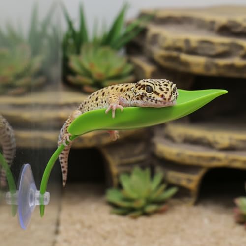 3Pcs African Dwarf Frog Tank Accessories, Tree Frog Tanks Leaf Decorations, Plastic Leaf Decorations with Suction Cups, Gecko Tank Accessories Turtle Basking Platform(Style A)