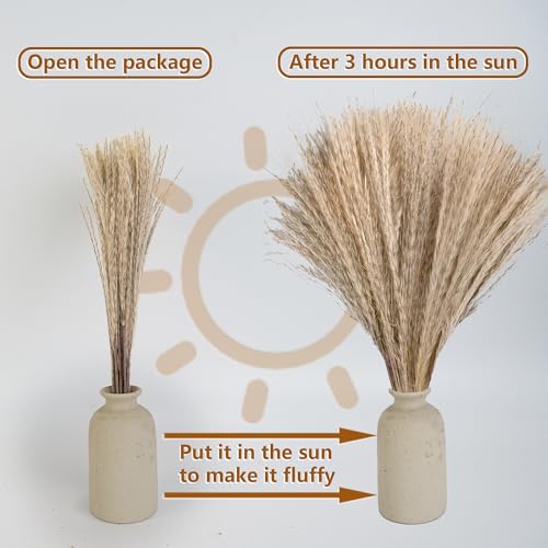 610 PCS Dried Pampas Grass Decor, Dried Flower Bouquets for Wedding, Home, Centerpiece Table, Modern Home, Western Living Room, Nurserie, Nursery, Boho Room, Beach, Women Office, and Boho Decor