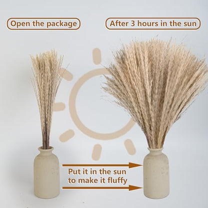 610 PCS Dried Pampas Grass Decor, Dried Flower Bouquets for Wedding, Home, Centerpiece Table, Modern Home, Western Living Room, Nurserie, Nursery, Boho Room, Beach, Women Office, and Boho Decor