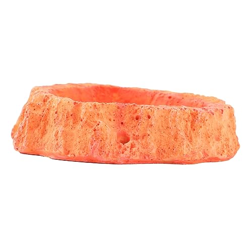 Reptile Feeding Bowl Skid Base Sturdy Food and Water Dish for Lizards Turtles and Other Crawling Pets Orange 2-in-1 Feeder Container