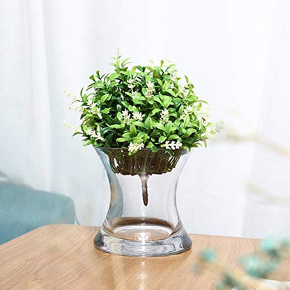 WGV Unique Bouquet Vase, 5.5" W, 6" H, Clear Short Hurricane Concaved Neiman Glass Floral Container, Home Wedding Event Decor, 1 Piece (VHV0606) - size: Concaved 6"H