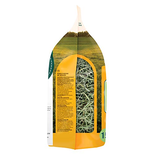 Oxbow Orchard Grass Hay, Rabbit & Guinea Pig Hay, High Fiber for Digestive Health, Grown in the USA, Veterinarian Recommended Small Pet Supplies, for Rabbits, Guinea Pigs, & Chinchillas, 15 oz. | Hand-Sorted, De-Dusted, Oxbow Orchard Grass Hay, Bunny Hay