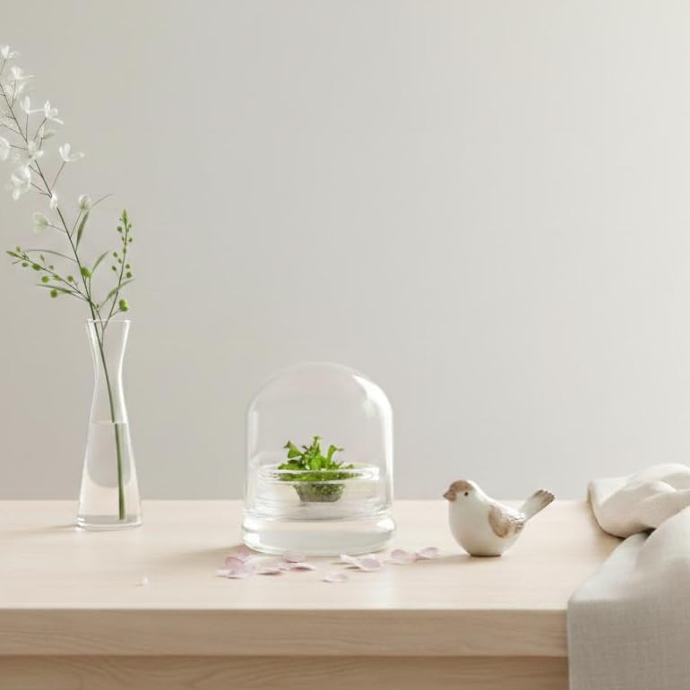 Live Sundew Plant Terrarium – Enclosed Ecosystem with Zero Maintenance – Unique Ecosphere Plants for Home Décor – Drosera Spatula Sundew Plant –Great Gift – Self-Sustaining Terrarium