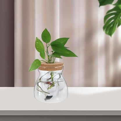 Glass Terrarium Jar for Succulent Plants with Hydroponic Hole Lid, Medium Trapezoid Glass Container for Indoor Mini Ecosystem and Plant Propagation