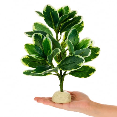 EupHHonycs Reptile Plants Artificial Leaves Reptile Tank Decorations | Fake Plants for Reptiles Terrarium for Bearded Dragon Lizard Snake Chameleon Geckos Amphibian Habitat Terrariums Decor