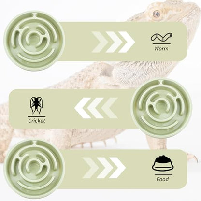 Bearded Dragon Maze Bowls Puzzle, Bearded Dragon Feeding Dish Food Bowl, Reptile Feeding Dish to Slow Down Eating, Worm Dubia Cricket Anti-Escape Food Bowl