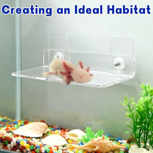 Axolotl Hammock Ledge for Aquarium with Feeding Dish and Feeding Tweezers，Axolotl Hammock with Ceramic Tray Feeder Bowl, Axolotls Accessories for Tank, Bearded Dragon Tank Accessories (7.8x3.9in)