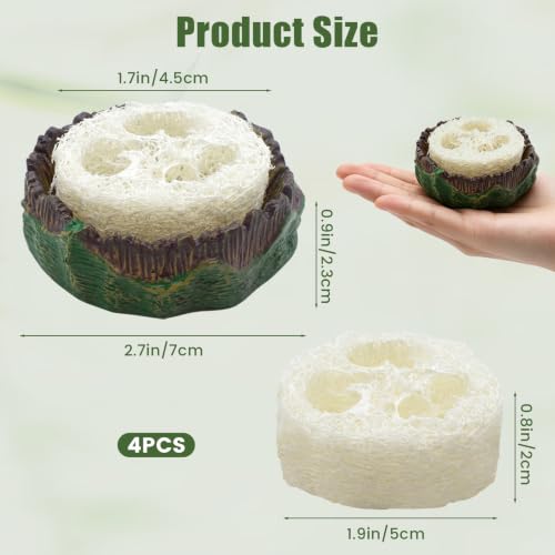Cockroach Water Basin with 4 Loofah Set, Dubia Roach Water Dish, Dubia Roach Container for Roaches, Mealworms, Crickets, Isopods