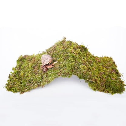 Hermit Crab Climbing Toys, 13.5 inch Bendable Climbing Bridge, Ideal Hermit Crab Supplies for 10 Gallon Hermit Crab Tank