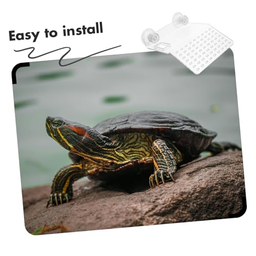 BESPORTBLE Transparent Acrylic Turtle Basking Platform Small Aquatic Reptile Resting Terrace Durable and Decorative Climbing Habitat for Turtle Tanks and Aquariums