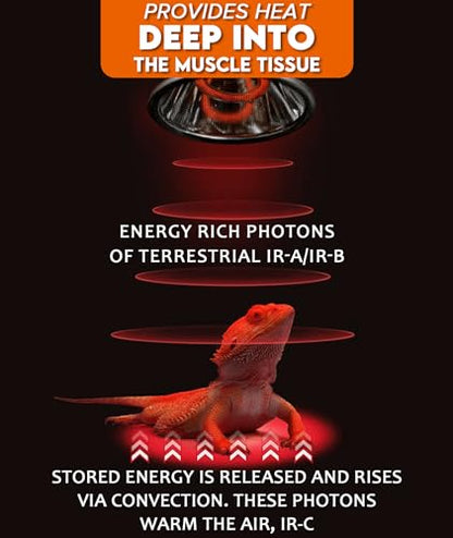 50W Deep Heat Infrared Projector Lamp for Reptiles, Emits both Infrared A & B Wavelengths, Reptiles Basking Light Heat Lamp Bulbs with Reflector for Bearded Dragons, Turtles, Snakes, Lizards, etc.