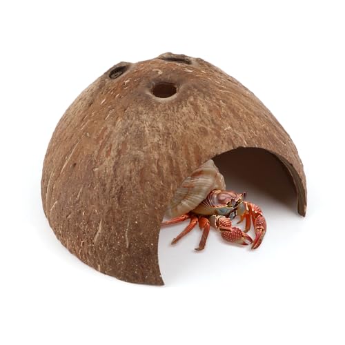 Hypeety Natural Coconut Reptile Habitat Hideout Hermit Crab Hut for Tank | Natural coconut shell, sturdy fish hide cave, organic non-toxic aquarium decoration, for reptile/lizard/spider/hamster/snake