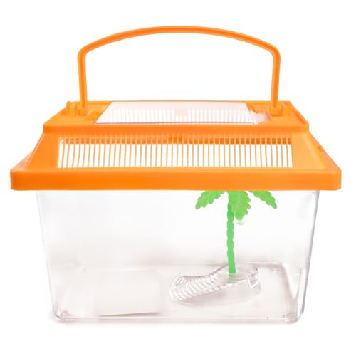 Needzo Ultimate All-in-One Hermit Crab Starter Kit, Neon Plastic Cage, Thermometer, Food, Treats, Trainer Bottle, and Coral Pieces, Terrarium Supplies for Pets and Reptiles