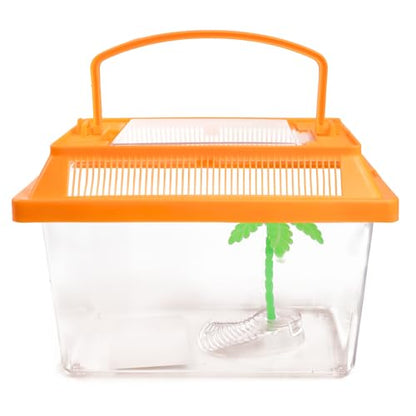 Needzo Ultimate All-in-One Hermit Crab Starter Kit, Neon Plastic Cage, Thermometer, Food, Treats, Trainer Bottle, and Coral Pieces, Terrarium Supplies for Pets and Reptiles