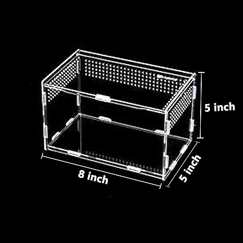 Acrylic Jumping Spider Terrarium Enclosure, Mini Reptile Tank Habitat with Locking Acrylic Spider Feeding Box for Tarantula Small Tree Dwelling Reptiles Insect (8x5x5 Inch)