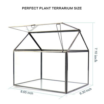 Black 1 Large Glass Plant Terrarium Kit with Lip Greenhouse for Succulents - color: Black 1