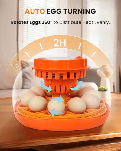 12 Egg Incubator with Automatic Turning & Humidity Control, Fully Automatic Incubators with Egg Candler, STEM/STEAM Educational kit, for Hatching Chicken, Duck, Quail, Pigeon, Home, Classroom Use