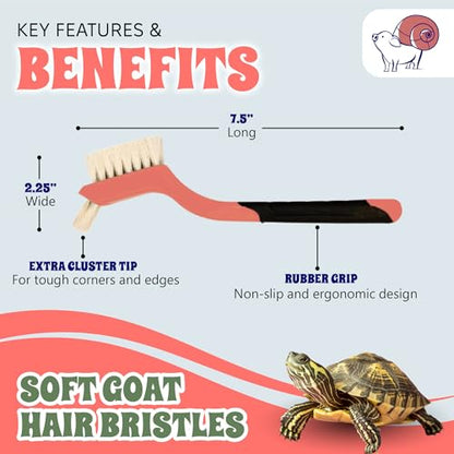 Turtle Cleaning Brush - Gently Remove Dirt from Turtles and Tortoises - Blue by Snout and Shell - color: Blue