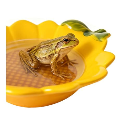 JSLZF Tree Frog Habitat Frog Water Bowl Dish Bathtub Tank Accessories Terrarium Decor Ceramic Aquarium Decoration Sturdy and Not Easy to Knock Over