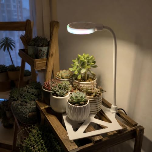 Jumping Spider Enclosure LED Light, 360 Degree Full Spectrum Reptile Enclosure Lights, Jumping Spider Enclosure Accessories for Potted Plants Succulents Miniature Landscape. (White) - color: White