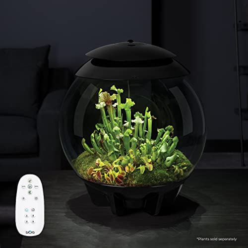 biOrb AIR 30, Automated Acrylic Terrarium for Desert or Tropical Plants, Black - color: Black