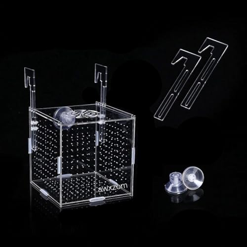 AWXZOM Acrylic Fish breeding Box, Acrylic Fish Isolation Box, Fish Separator for Aquarium, Hatchery Incubator with Suction Cups for Small Baby Fishes Shrimp Clownfish Guppy (5.9 * 5.9 * 5.9inch) - size: 5.9 * 5.9 * 5.9inch