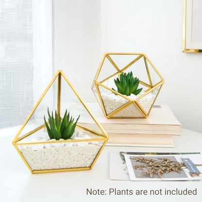 Mkono 3 Pack Geometric Glass Terrarium, 4" Gold Air Plant Holder Tabletop | Modern Centerpiece Decor, 3 Shapes Metal Frame, Fits Succulent Moss Fairy Garden Shelf Coffee Table, Plants Not Included - color: Gold