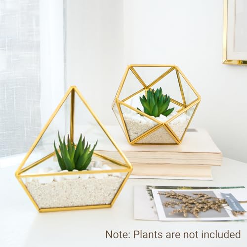 Mkono 3 Pack Geometric Glass Terrarium, 4" Gold Air Plant Holder Tabletop | Modern Centerpiece Decor, 3 Shapes Metal Frame, Fits Succulent Moss Fairy Garden Shelf Coffee Table, Plants Not Included - color: Gold