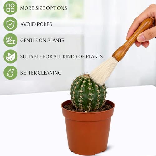 Cactus Plants Cleaning Brushes,Wooden Handles with Goat Hair Bristles,Garden Plant Cleaning Tools,Mild and Soft,Extra-Long Bristles，Three Different Lengths, Suitable for Various Plants and Scenarios.