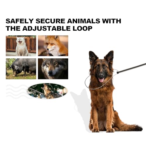 92" Animal Catch Pole Wildlife Control Tool Noose Holder Net Kit | for Dogs Feral Cat Raccoons Hog Pig Fox Coyote Bulldog Wolf Goat Lizards Boar Bichon Calf Piglet Gator