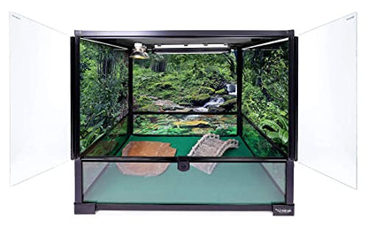 Reptile Bridge, Driftwood Gray, Reptile Habitat Accessory