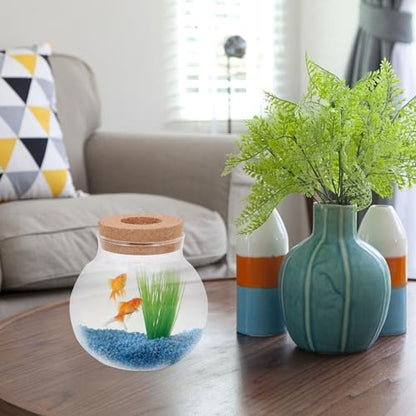 Glass Ecological Bottle with Lid for Fish Keeping and Moss Micro Landscaping Terrarium Home Decorative Glass Container for Small Aquatic Plants and DIY Ecosystems