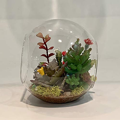 WGV Planter Terrarium Bulk, Width 8" Height 8", Clear Round Glass Vase Container with Two Side Opening, DIY Air Planter, Votive Candle Holder for Decor, 6 Pieces - size: 8" Double Opening