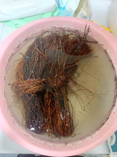 YZHZOM 160g Aquarium Driftwood Roots - Bushy Tank Wood for aquascaping -Perfect for Fry, Shrimp or Terrarium,Natural Wood Roots for Aquarium aquascaping