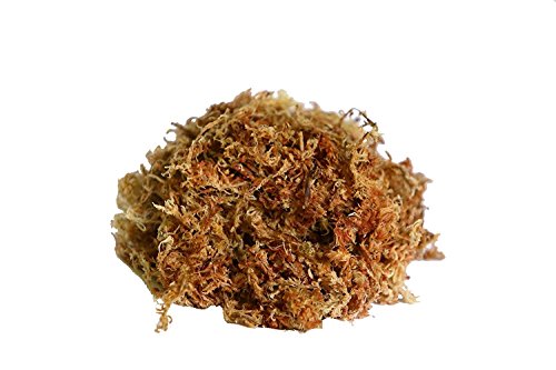 Peruvian Moss: Organic Sphagnum Moss for Orchids, Succulents, Indoor Plants & Reptile Substrate - 1 Kilo