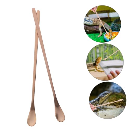 Kisangel 2Pcs Stainless Steel Reptile Food Spoon Long Handle Lizard Feeding Tool for Small Animals Durable and Easy Pet Feeding and Maintenance