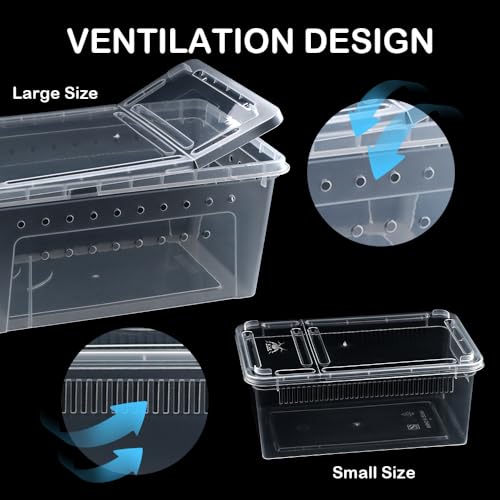 8 Pcs Reptile Feeding Box Snake Plastic Transparent Breeding Box for Bearded Gecko Dragon Lizard Spider Frog Scorpion (2 Pcs Large Size, 6 Pcs Small Size)