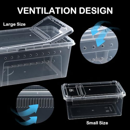8 Pcs Reptile Feeding Box Snake Plastic Transparent Breeding Box for Bearded Gecko Dragon Lizard Spider Frog Scorpion (2 Pcs Large Size, 6 Pcs Small Size)