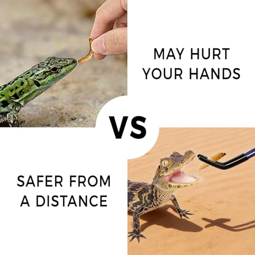 2PCS Stainless Steel Reptile Feeding Tongs, 10.6" Straight and Curved Tweezers for Bearded Dragon Tank Accessories, Planted Tank Tools Feeder for Lizards