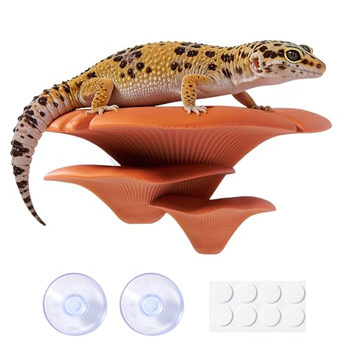 Mushroom Reptile Tank Decor, Mushroom Climbing and Resting Platform Habitat for Tree Frog Terrarium, Reptile Ledge for Leopard Gecko, Lizards, Fish, Turtle, Hermit Crab (Brown) - color: Brown