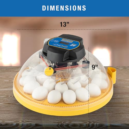 Brinsea Maxi 24 Advance Incubator with auto Turner for Hatching 24 Eggs | Temperature control to ensure optimal conditions for hatching 24 eggs or more with inserts, Easy to use precision controls - size: 24 Eggs