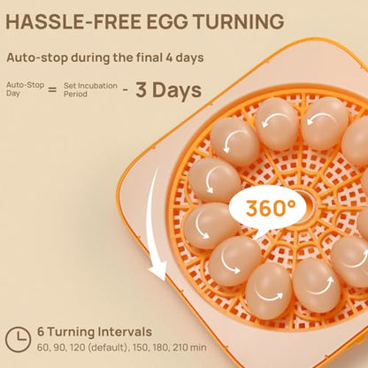 TURBRO Incubator for Hatching Eggs, Automatic Turning, Temperature & Humidity Control, Built-in Candler, 60° Viewing, 12 Egg Incubators for Chicken, Duck, Quail, Turkey, Goose, Parrot, Bird | 12 Egg Incubators , Built-in Candler, Automatic Turning, 360° V