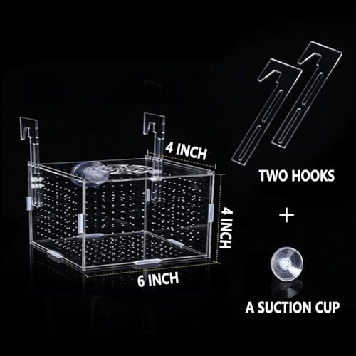 Acrylic Fish breeding Box, Fish Separation Breeder Box Acrylic Fish Tank Breeding Isolation Box for Aquarium Hatchery Incubator with Suction Cups for Baby Fishes Shrimp Clownfish (6*4*4inch)